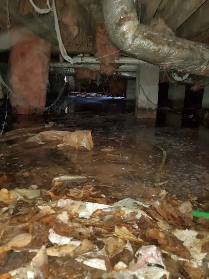 Crawl space flood assessment for Leak Detection & Repair in Conroe